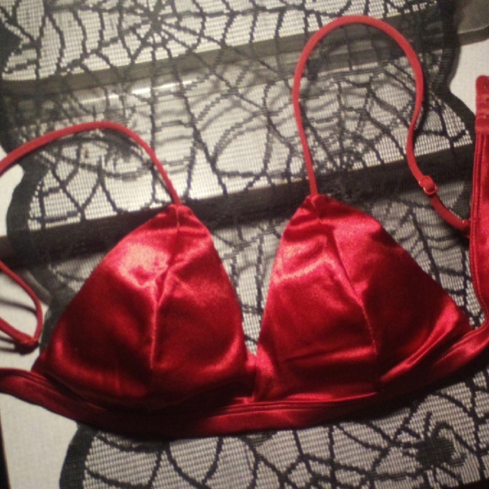 Elegant Red Satin Bra